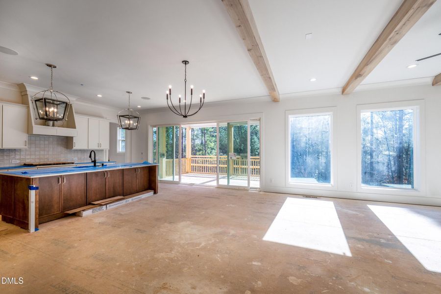 20 canvasback-3 20 canvasback-3