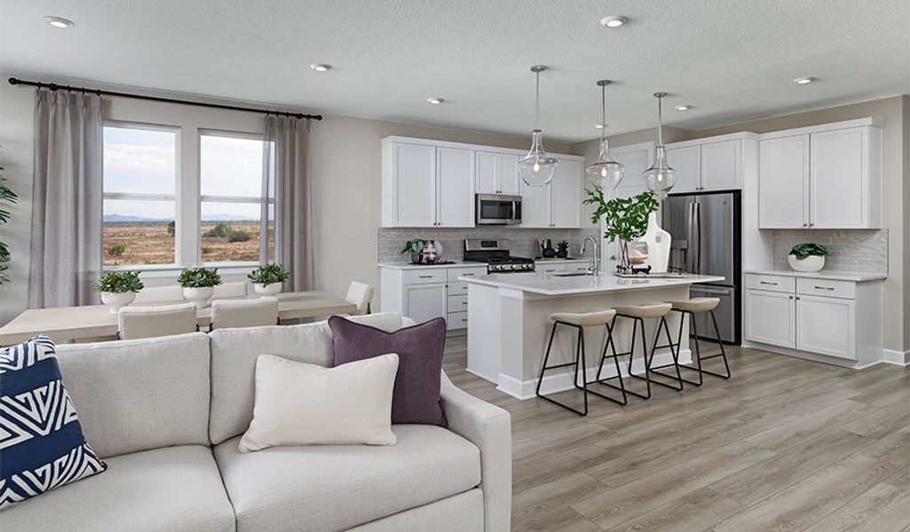 Elderberry-PHX-Great Room