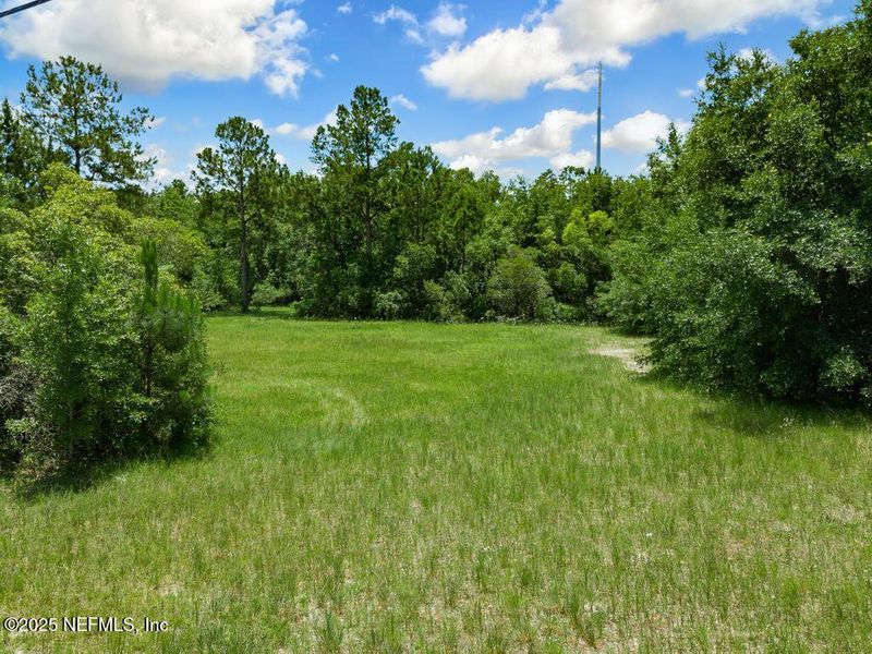 Natural landscape and outdoor views near  in Jacksonville (Image 48).