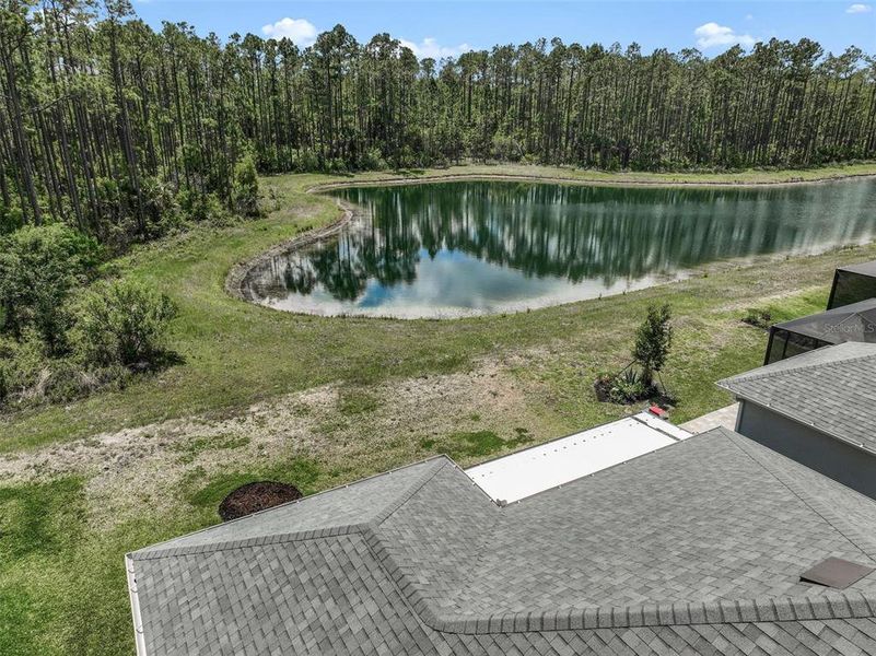 Natural landscape and outdoor views near  in Palm Coast (Image 64).