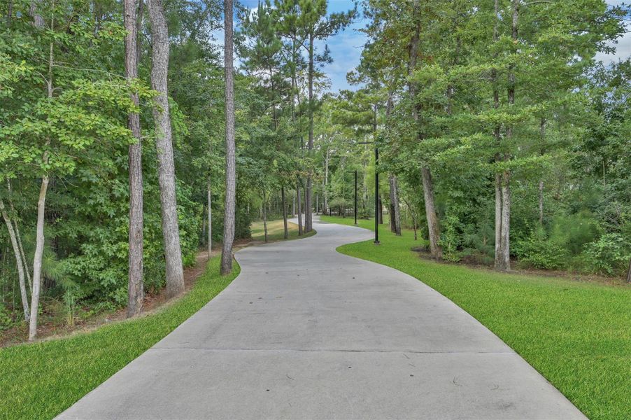 Natural landscape and outdoor views near The Woodlands Hills in Willis (Image 27).
