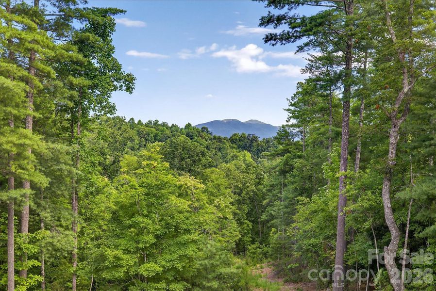 Natural landscape and outdoor views near  in Nebo (Image 44).