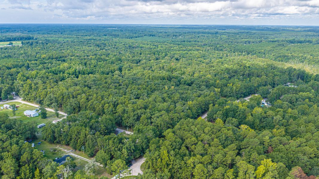 Natural landscape and outdoor views near  in Walterboro (Image 75).