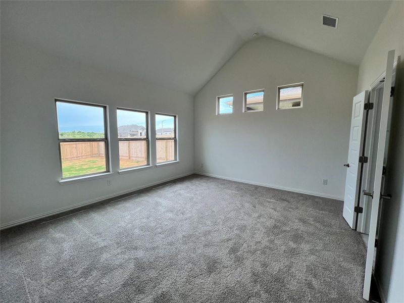 Carpeted spare room with baseboards and high vaulted ceiling Carpeted spare room with baseboards and high vaulted ceiling