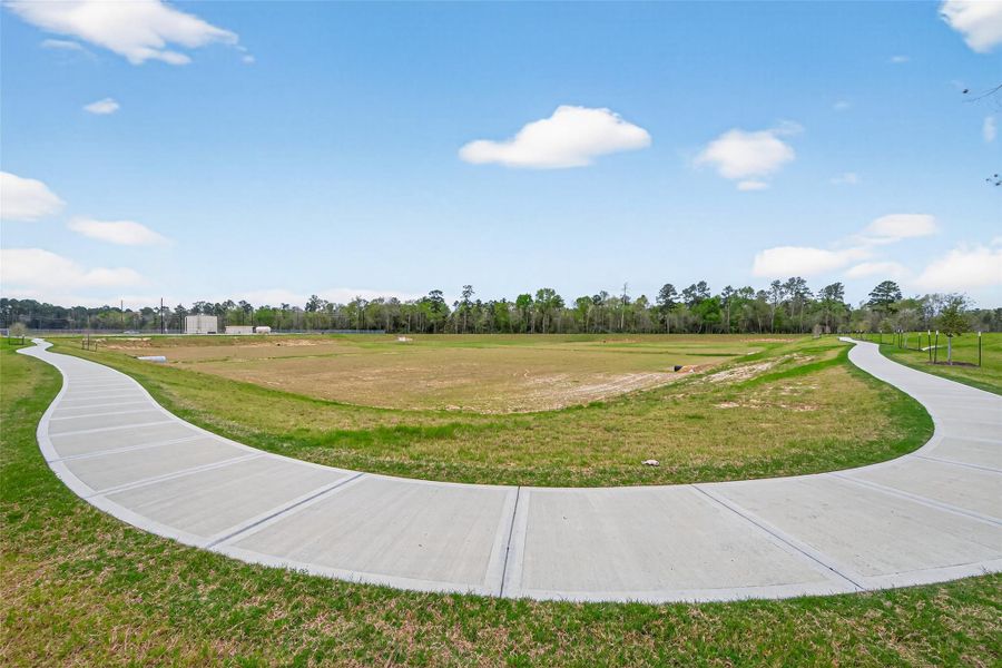 Natural landscape and outdoor views near Indian Springs in Crosby (Image 40).