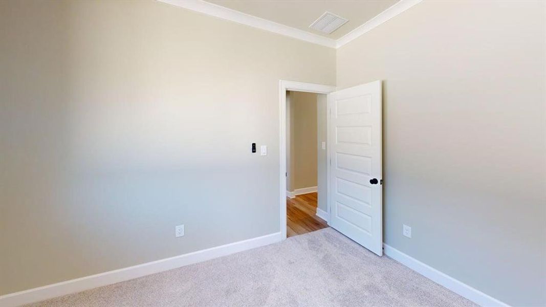 Carpeted empty room with crown molding and baseboards