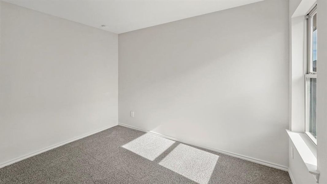 Neutral-toned interior room featuring light gray walls and coordinating gray carpet