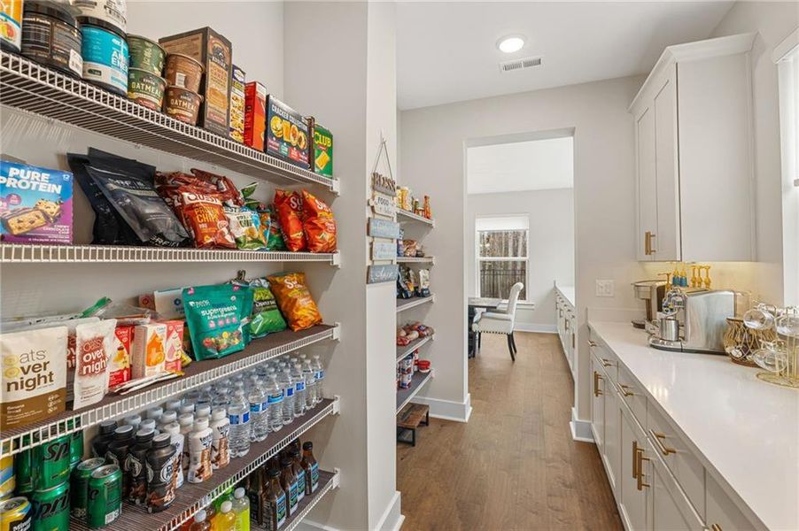 Close-up of interior finishes inside a home in Settingdown Farms, Cumming (Image 23).