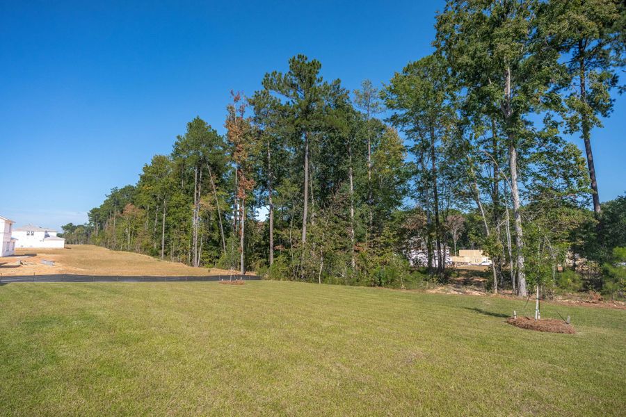 Natural landscape and outdoor views near Oakleaf Chase in Blythewood (Image 46).