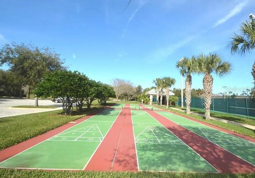 Natural landscape and outdoor views near  in Palm Coast (Image 36).