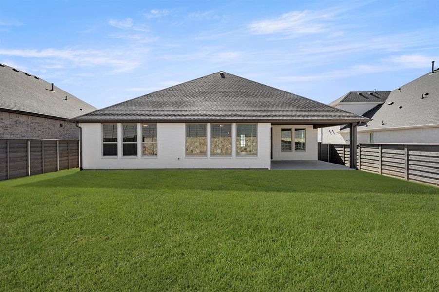 26. 7204 Camilla - Back