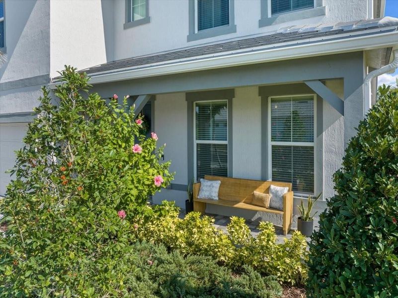 Front Close Up Front Close Up