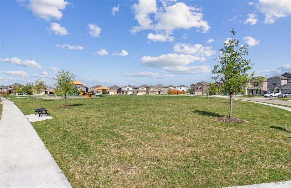 Community Field *Model Representation* Community Field *Model Representation*