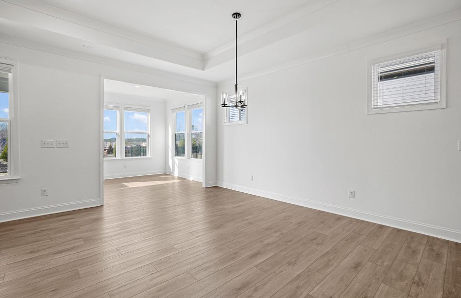 Spacious, unfurnished interior of a new home in Carolina Riverside, Belmont (Image 62).