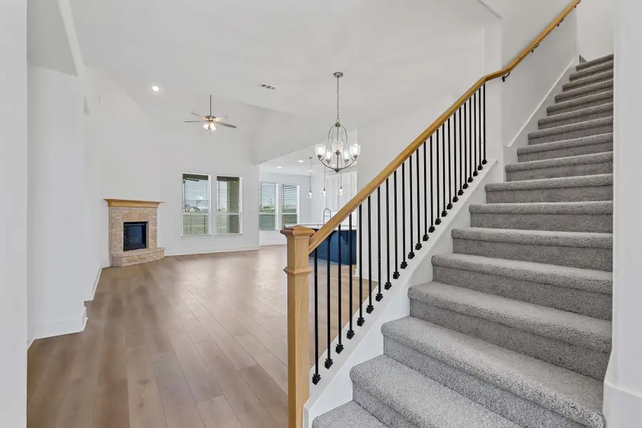 Representative Entry - some options shown