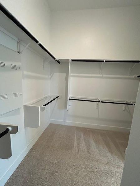 Walk-in Closet in Primary Bedroom