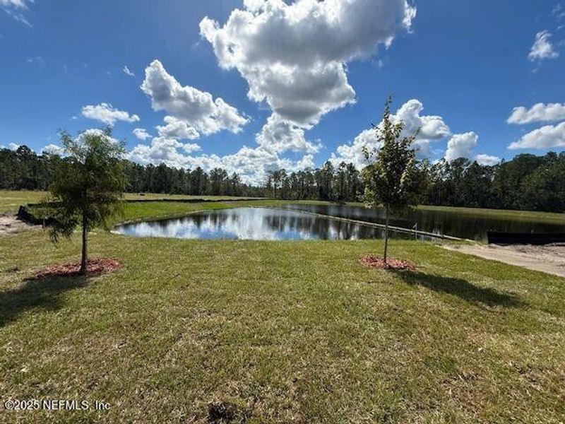 Natural landscape and outdoor views near Grand Reserve in Bunnell (Image 47).