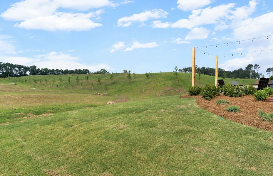 Outdoor and nature views near homes built from the Vanderlyn by Pulte Homes in Amherst, McDonough (Image 48). Outdoor and nature views near homes built from the Vanderlyn by Pulte Homes in Amherst, McDonough (Image 48).