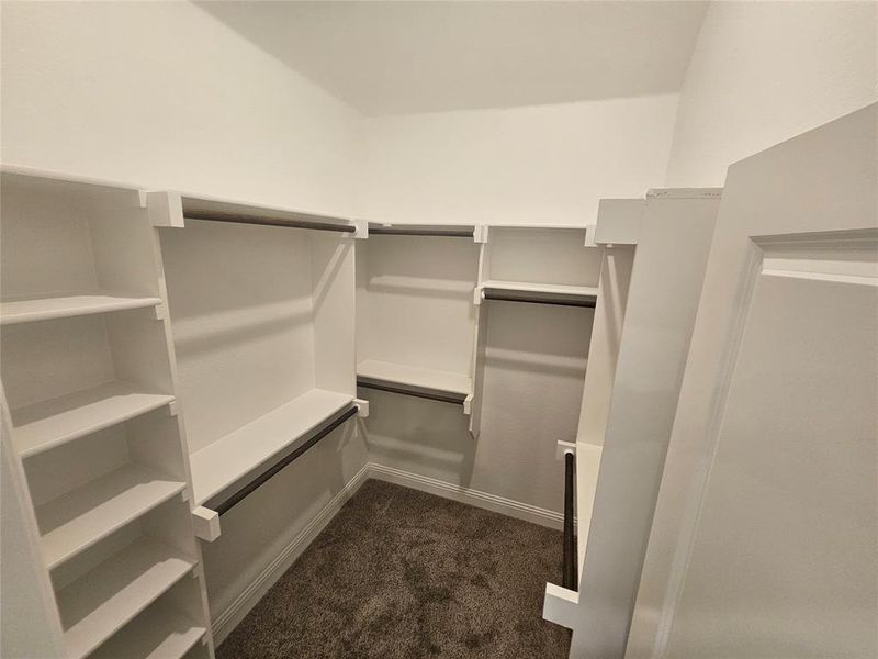 Walk in closet with dark colored carpet