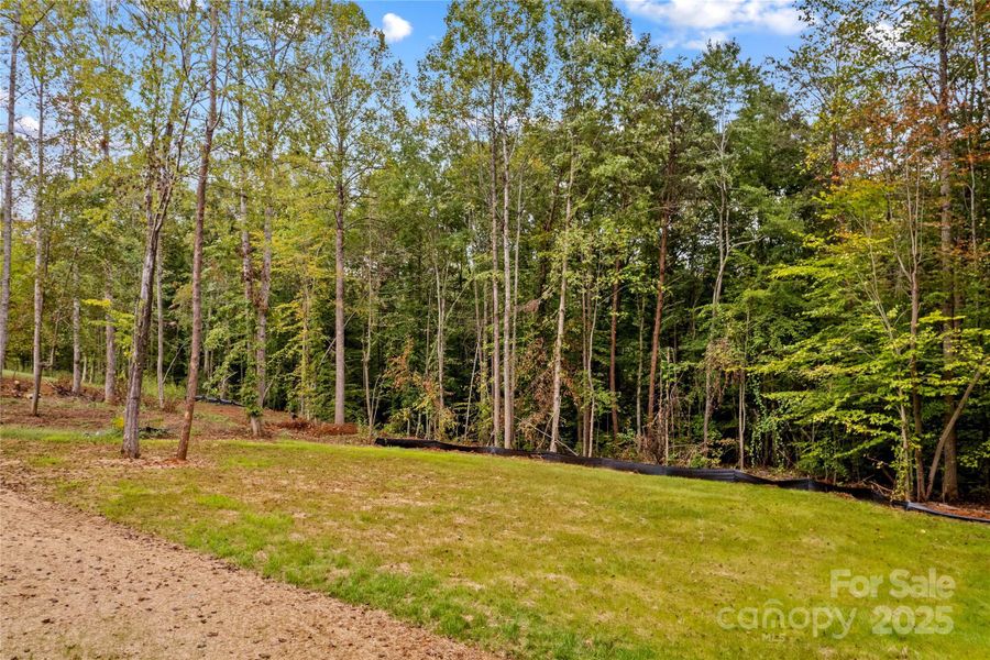 Natural landscape and outdoor views near in Statesville (Image 27). Natural landscape and outdoor views near in Statesville (Image 27).