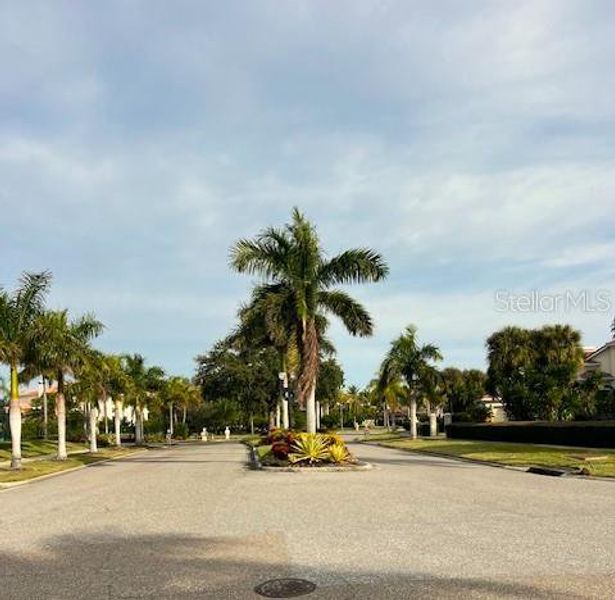 Palm Tree lined drives