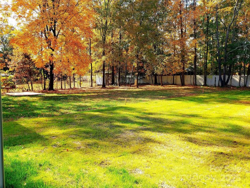 Natural landscape and outdoor views near in Charlotte (Image 34). Natural landscape and outdoor views near in Charlotte (Image 34).