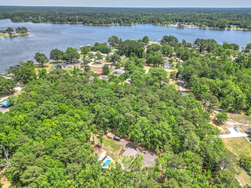 Natural landscape and outdoor views near  in Summerton (Image 51).