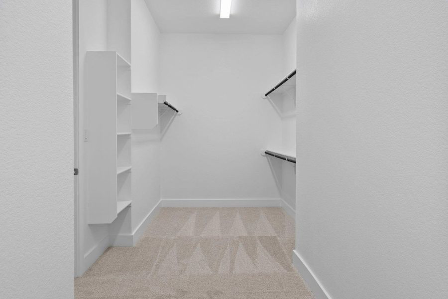 Walk-in shower in Primary Bath