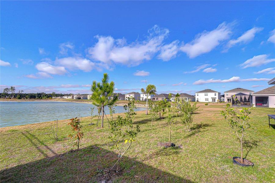 Natural landscape and outdoor views near in Zephyrhills (Image 68). Natural landscape and outdoor views near in Zephyrhills (Image 68).