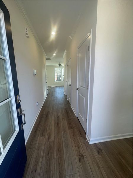 Spacious, unfurnished interior of a new home in Springwood Grove, Central (Image 12).