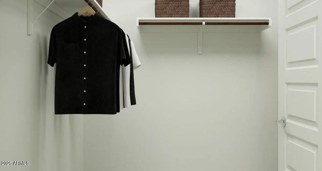 Owners Walk in Closet