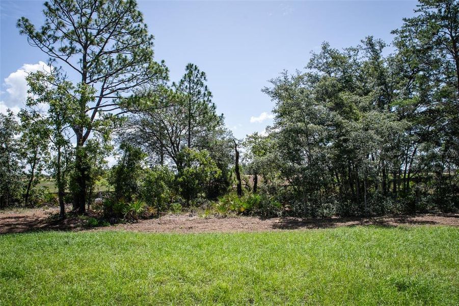 Natural landscape and outdoor views near  in Weeki Wachee (Image 37).