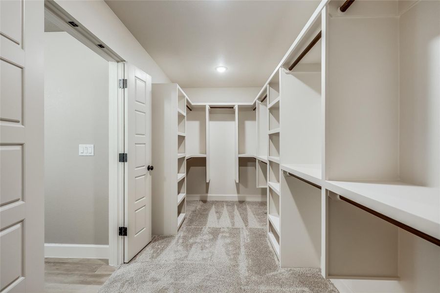 Spacious closet with lots of built-ins and french door access