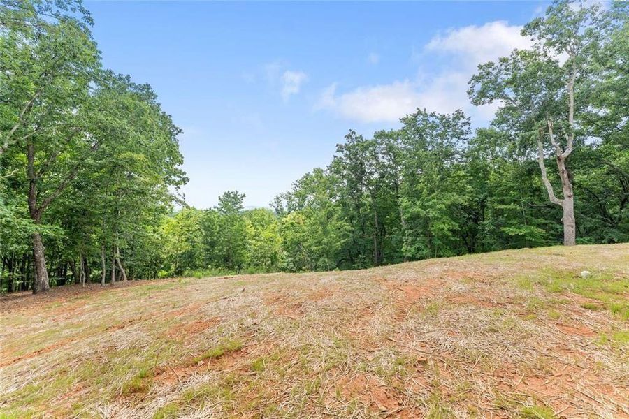 Natural landscape and outdoor views near  in Cleveland (Image 67).