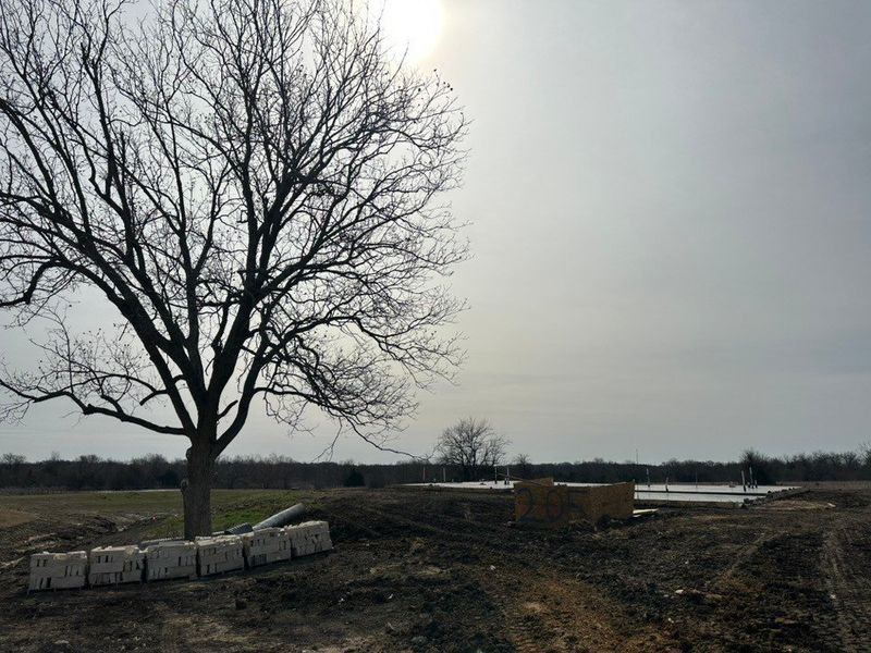 Image 14 of a home in Fannin Ranch. Image 14 of a home in Fannin Ranch.