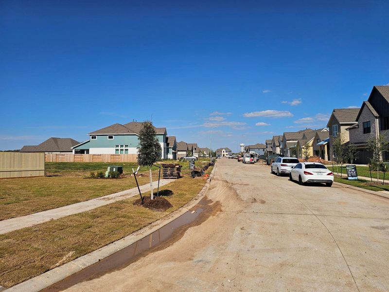 Home Progress 10/2025 Home Progress 10/2025