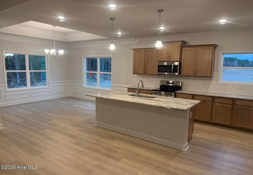 Furnished interior view inside a new home in Summer Place, Grimesland (Image 7).