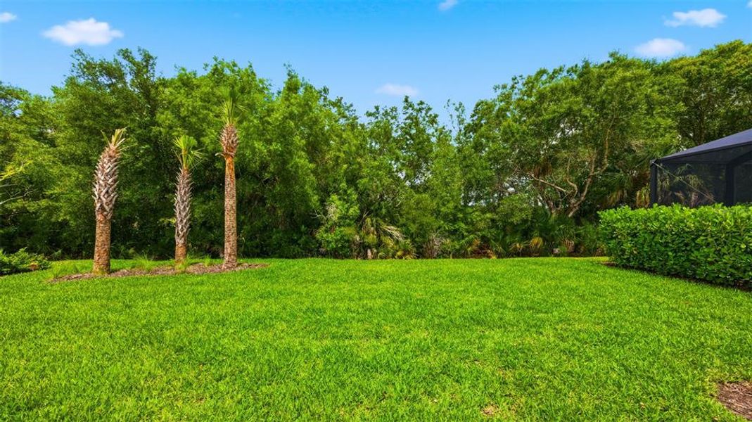 Natural landscape and outdoor views near in Fort Myers (Image 39). Natural landscape and outdoor views near in Fort Myers (Image 39).