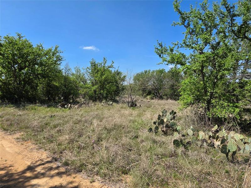 Natural landscape and outdoor views near  in San Saba (Image 14).