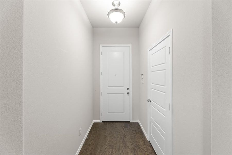 4509 Snakeweed-Entry-1