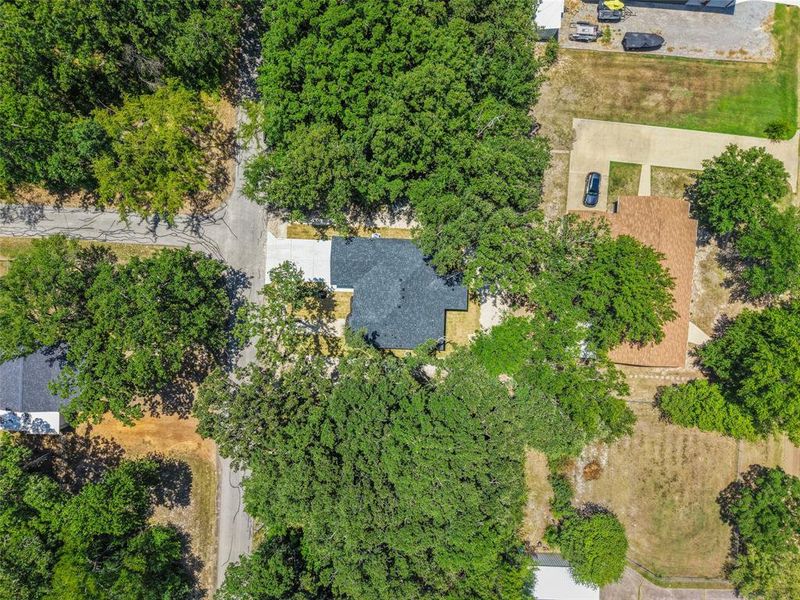 Property featuring a dark shingle roof, concrete driveway, and surrounding mature trees Property featuring a dark shingle roof, concrete driveway, and surrounding mature trees