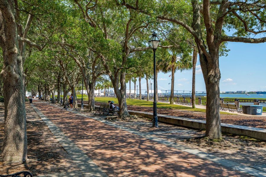 Natural landscape and outdoor views near  in Charleston (Image 38).