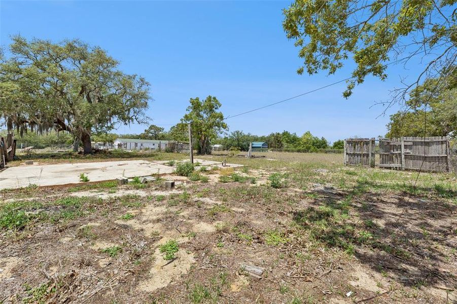 Natural landscape and outdoor views near  in Lake Wales (Image 23).