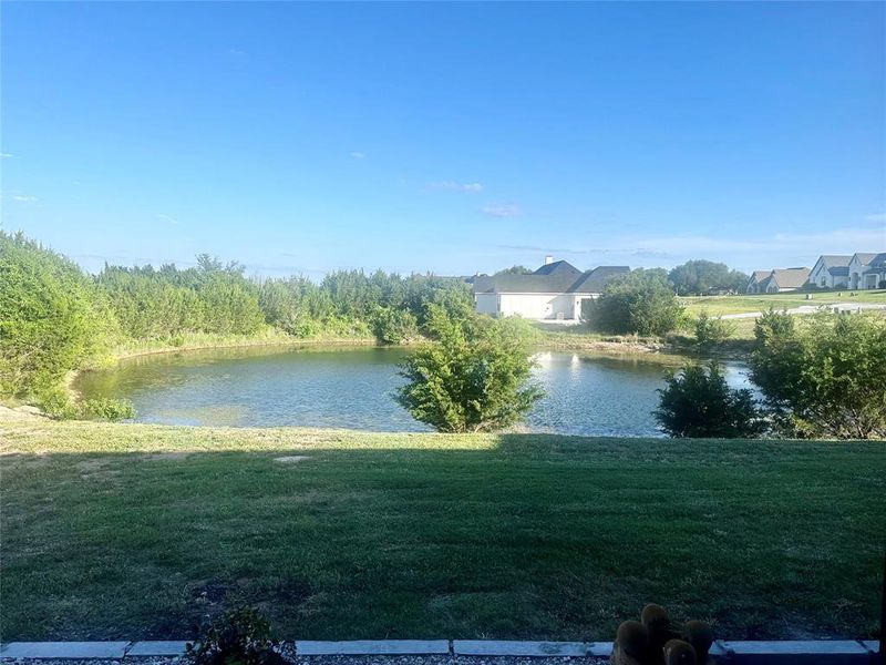 Pond view from patio