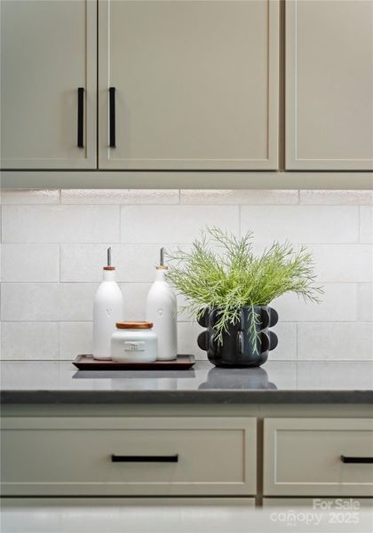 Close-up of interior finishes inside a home in , Wesley Chapel (Image 21).