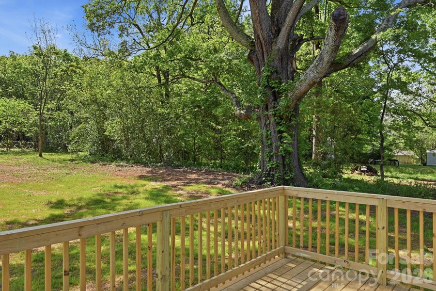 Natural landscape and outdoor views near  in York (Image 32).