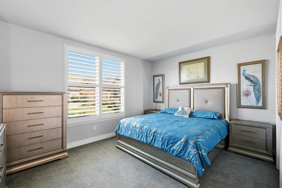 Bright room featuring large windows with white plantation shutters, neutral gray carpeting, and light gray wall tones