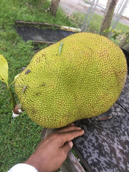 Image 14 of a home in .