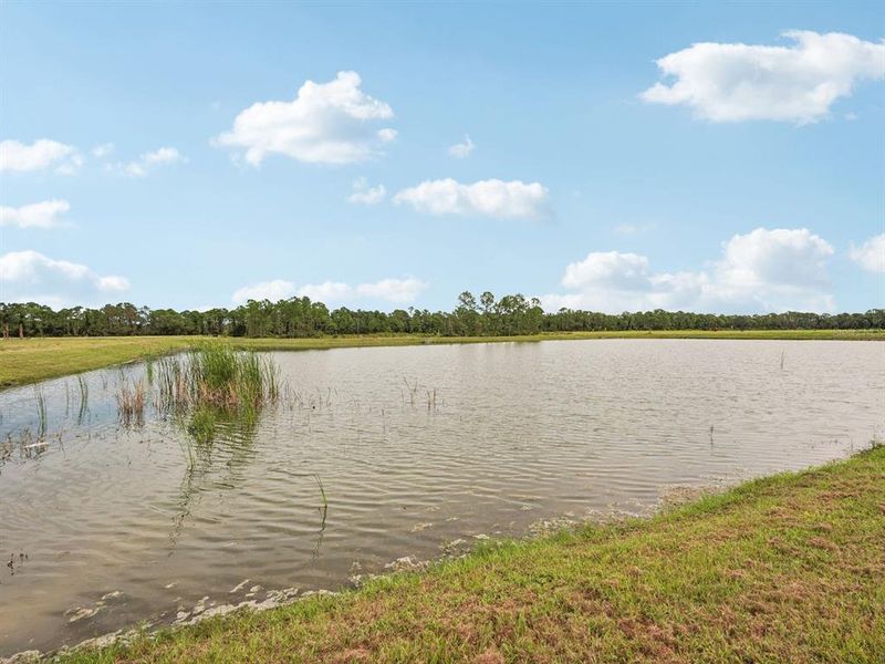 Natural landscape and outdoor views near Magnolia Bay - Classic Series in Nokomis (Image 31). Natural landscape and outdoor views near Magnolia Bay - Classic Series in Nokomis (Image 31).
