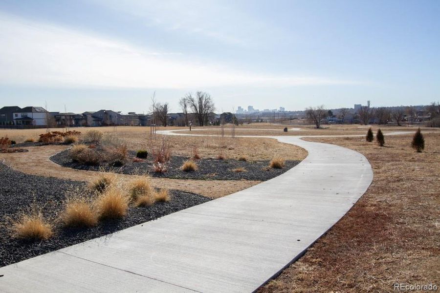 PATH/TRAILS ACCROSS THE STREET